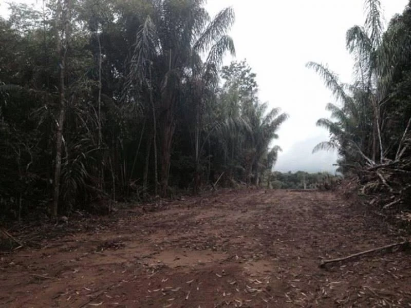 Terreno à venda, 1000 m² por RS 250.000,00 - Zona Rural - Iranduba-AM