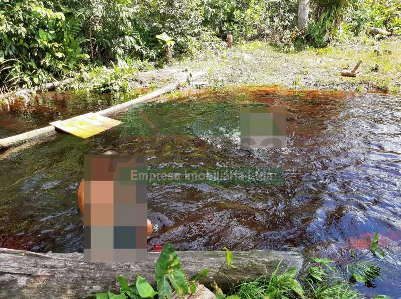 VENDE SE SITIO NA ESTRADA DE NOVO AIRÃO