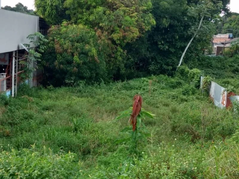 Terreno à venda, 1050 m² por RS 840.000,00 - Cidade Nova - Manaus-AM