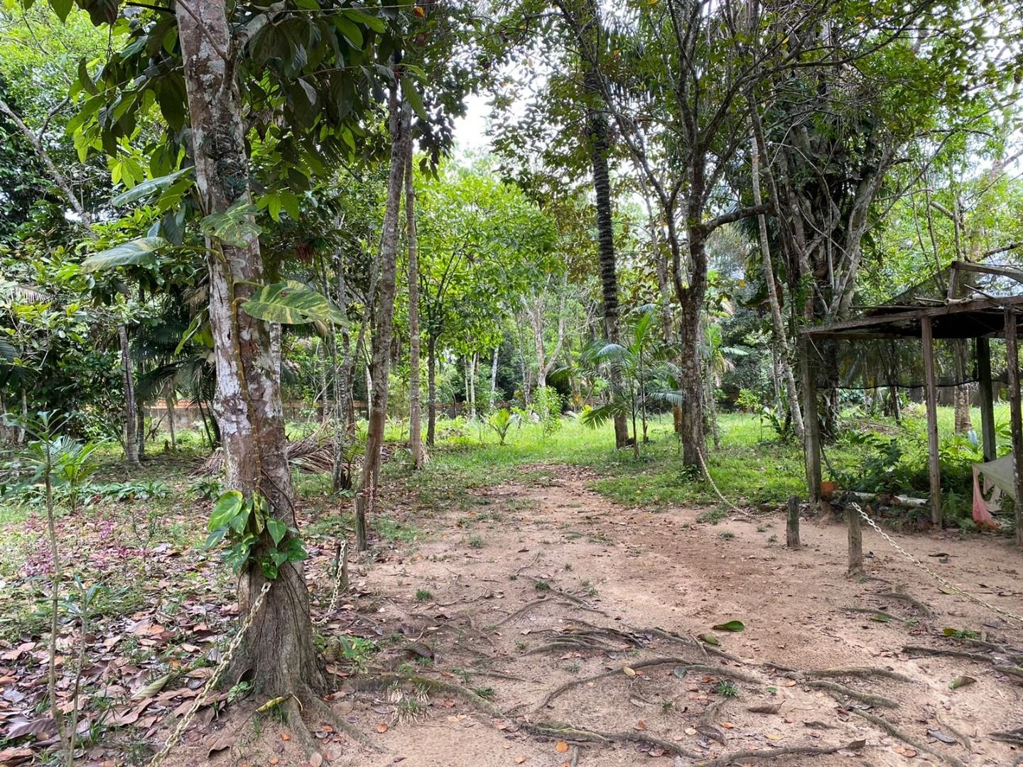 Sítio com 1 dormitório à venda, 5000 m² por RS 600.000 - Área Rural - Manaus-AM