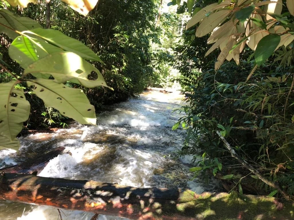 Corredeira à venda, 750000 m² por RS 500.000 - Área Rural - Manaus-AM