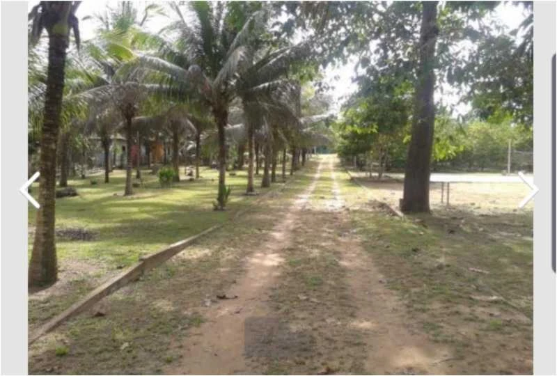 Chácara à venda, 10500 m² por RS 350.000,00 - Centro - Rio Preto da Eva-AM