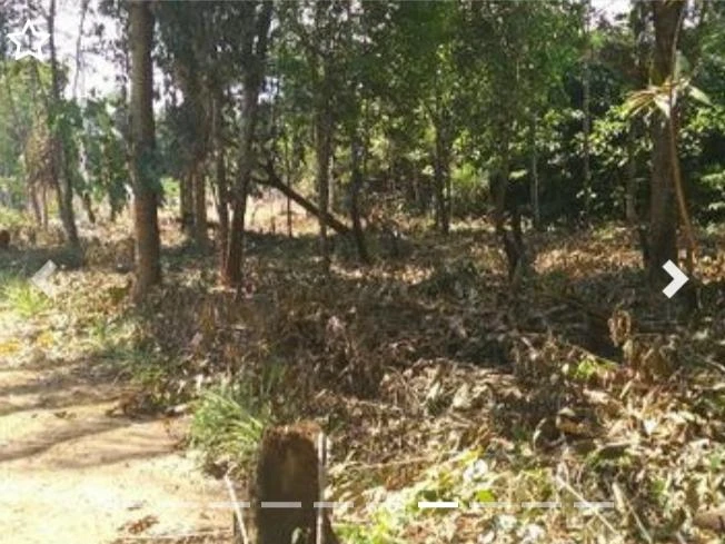 Terreno à venda, 1000 m² por RS 30.000 - Bela Vista - Iranduba-AM